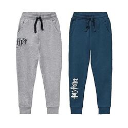 Штани спортивні джогери Harry Potter двонитка