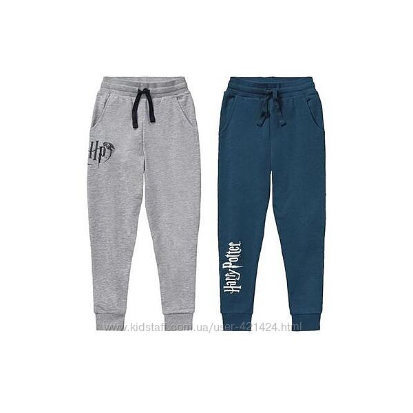 Штани спортивні джогери Harry Potter двонитка