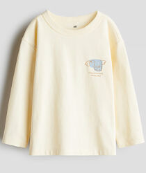 Реглан для хлопчика H&M.