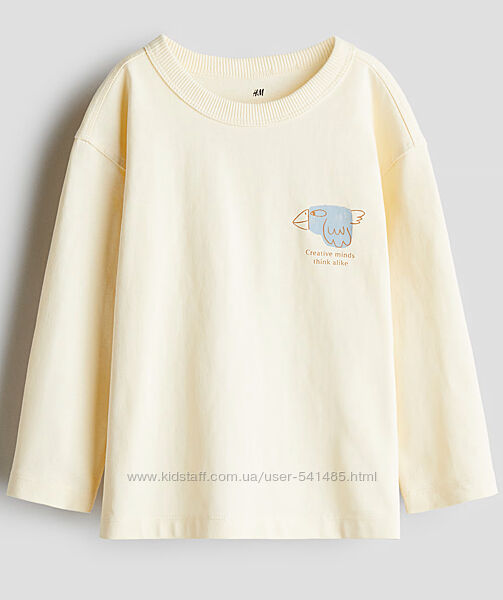 Реглан для хлопчика H&M.