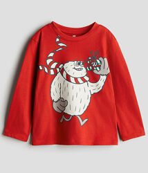 Реглан для хлопчика H&M.