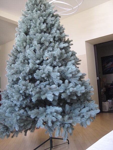 Продаю ялинку литу голубу, висота 220 см,