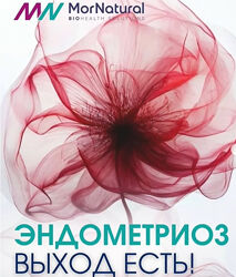 Эндометриоз. Выход есть Светлана Мортенсен Doclana. mornatural