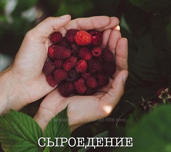 Сыроедение Галина Гарбузова