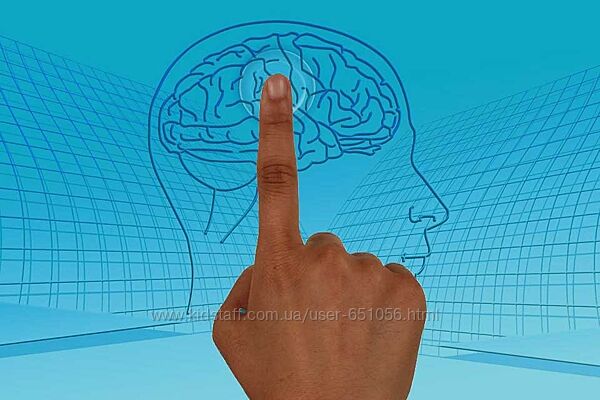 Курс обучения Методу P-DTR Струков Николай Полный курс 5 модулей