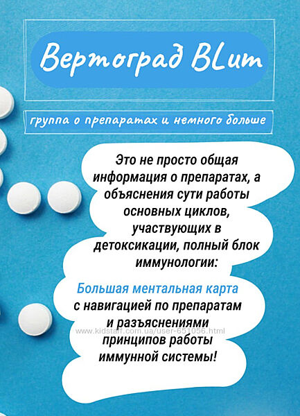 Вертоград Blum Юлия Блюм