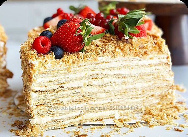 Идеальный Наполеон Екатерина Савкина