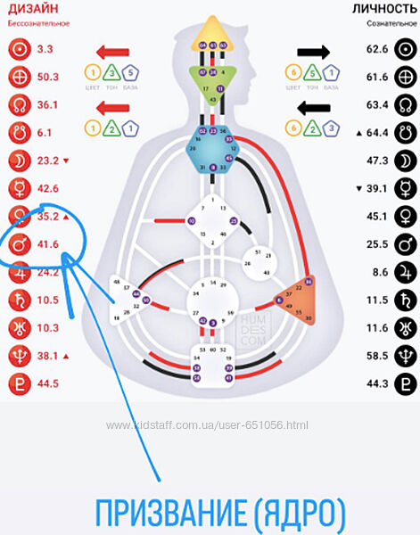 Призвание. Дизайн человека Дмитрий Богацкий