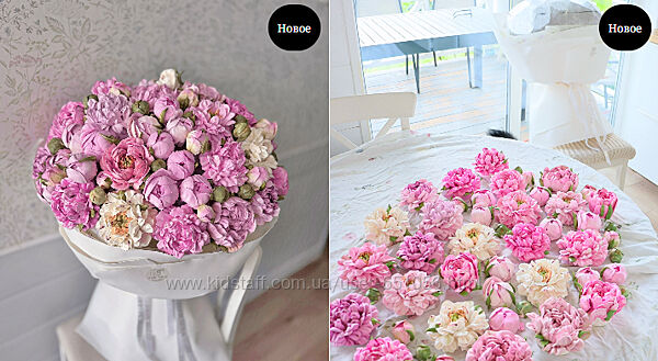 Пионы обновленный 2025 Мирослава Садовая zefir. mira