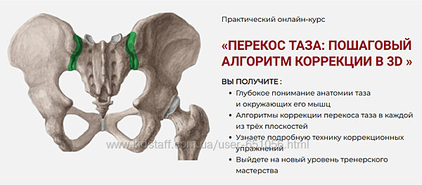 Перекос таза Пошаговый алгоритм коррекции в 3D 2025 Дмитрий Семенов
