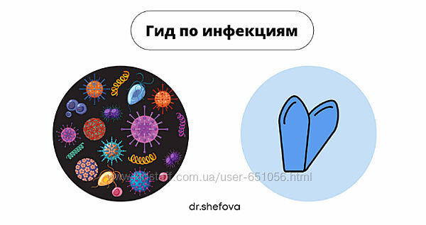 Гид по инфекциям Юлия Шефова