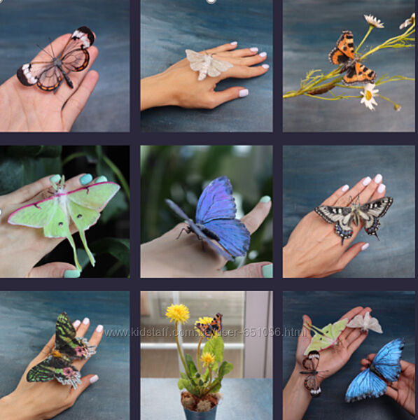 Бабочки и Мотыльки. Тариф Расширенный Любовь Мирошниченко La Florterra