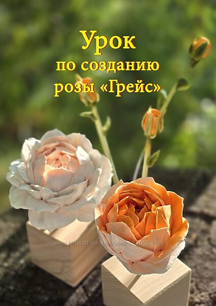 Розы ГРЕЙС из зефира Яна Мурачёва pryancholito