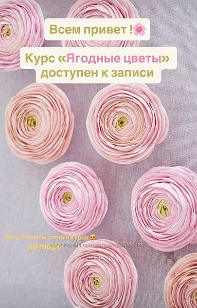 Ягодные цветы Мирослава Садовая zefir. mira
