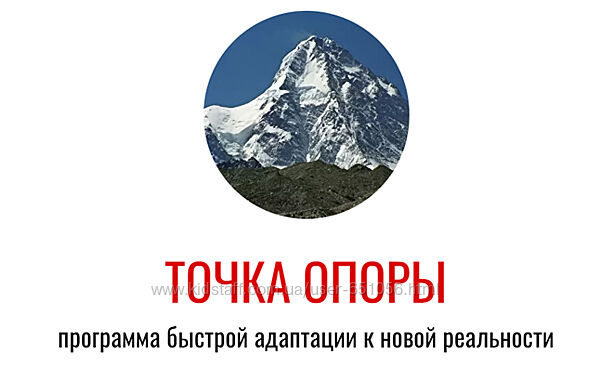 Точка опоры. Программа адаптации к новой реальности Александр Волынский