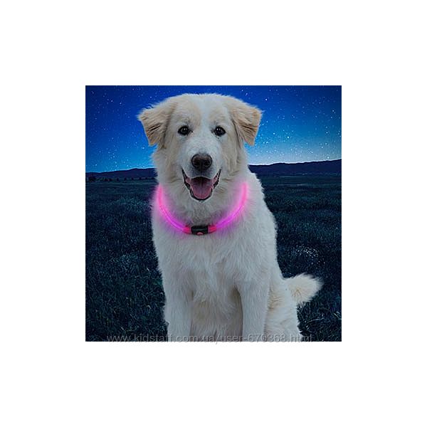 #7: светящийся ошейник