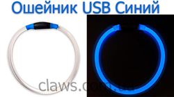 #2: светящийся ошейник