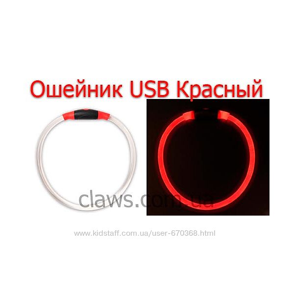 #4: светящийся ошейник