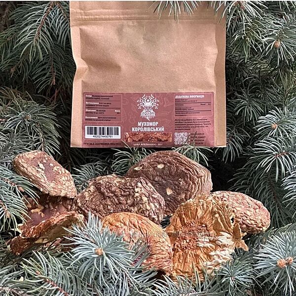 Мухомор королівський