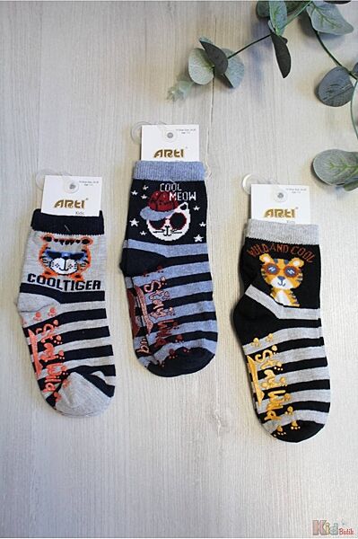 Шкарпетки Cool Animal для хлопчика 5-6 років Arti