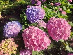 #5: Спайк