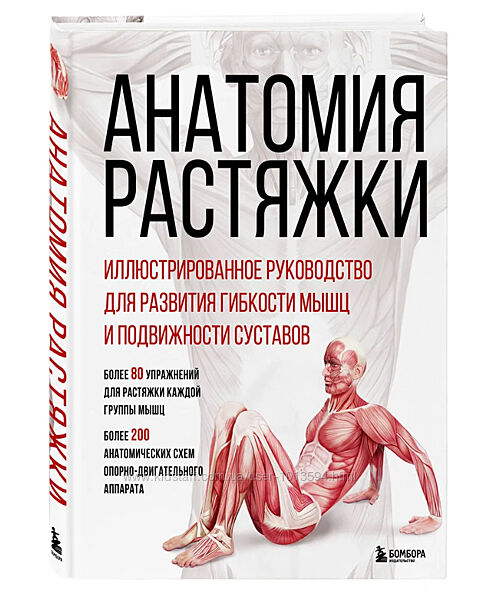 Анатомия растяжки. Иллюстрированное руководство Анка Мейер