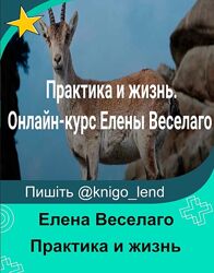  Практика и жизнь 2024. Две ступени Елена Веселаго