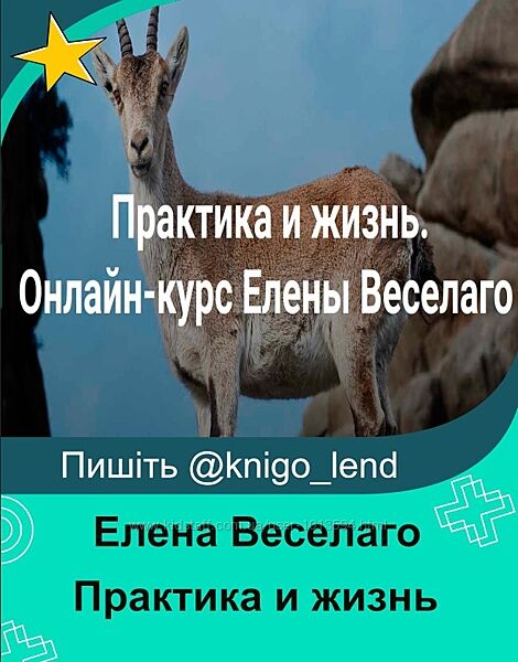  Практика и жизнь 2024. Две ступени Елена Веселаго