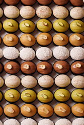  Сборник начинок для орешков Полина Егорова