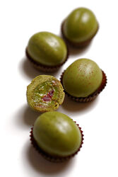 Polololololololo Сборник начинок для орешков с видео Полина Егорова