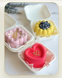 Муссовые бенто-торты. Кейк-боксы. Муссовые пирожные. Ольга Шмукста