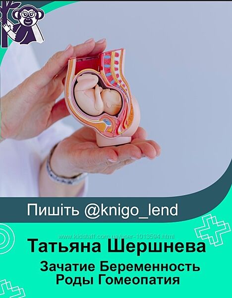 Зачатие Беременность Роды Гомеопатия. Мед плюс Татьяна Шершнева, Гончарова