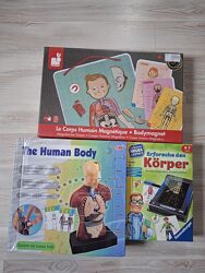 Наборы и игры на изучение строения тела макет, рентген, пазлы.