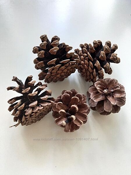 Шишки для декору великі 