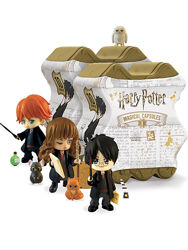 Магическая капсула Гарри Поттер Harry Potter magical capsule 