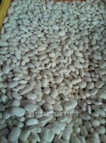 Сухофрукты,орехи, бобовые