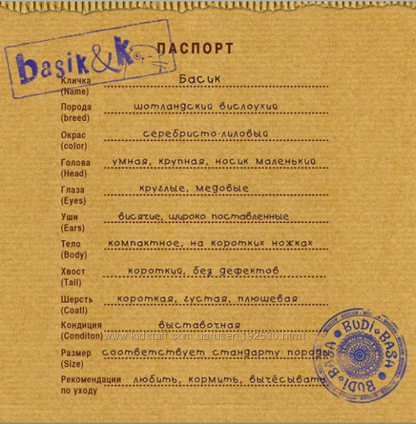Кот Басик (BUDI BASA)
