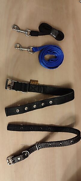 Поводок ошейник