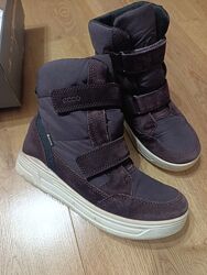 Зимові термочобітки Ecco Gore tex Urban 35 р 23 см