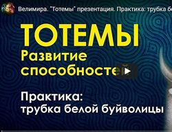 Велимира Тотемы