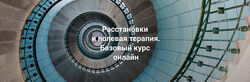 Елена Веселаго Расстановки и полевая терапия. Базовый курс. Тариф Практика