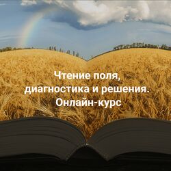Елена Веселаго Чтение поля, диагностика и решения. 2024 Тариф Апгрейд
