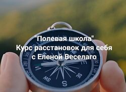 Елена Веселаго 2025 Курс расстановок для себя Полевая школа