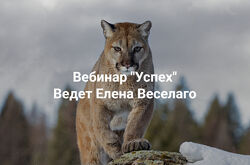 Елена Веселаго Успех 2025