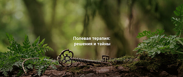 Елена Веселаго Полевая терапия решения и тайны 2025