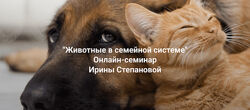Ирина Степанова Животные в семейной системе 2025 Институт Открытого поля