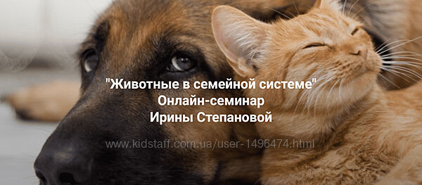 Ирина Степанова Животные в семейной системе 2025 Институт Открытого поля