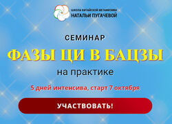 Светлана Мостовская Фазы Ци в БАЦЗЫ на практике 2025