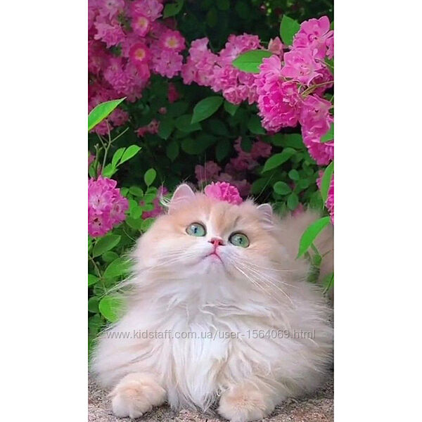 Набір для творчості алмазна картина Квітковий друг Strateg HEG87036