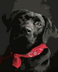 Набір для творчості алмазна картина Чорний лабрадор Strateg HEG86044